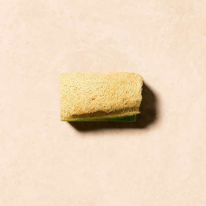 Luffa Seife Aloe Vera