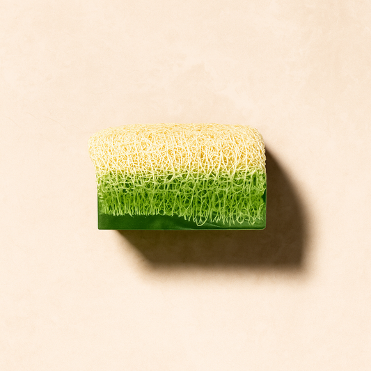 Luffa Seife Avocado